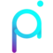 Project PAI